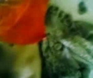বয়স্ক ডাইরেক্ট চুদা চুদি ভিডিও মহিলার মজা পার্ট 245 মানে